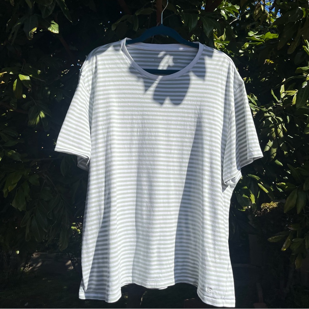 EVERLANE mens sage green white organic cotton striped crew neck short sleeve tee